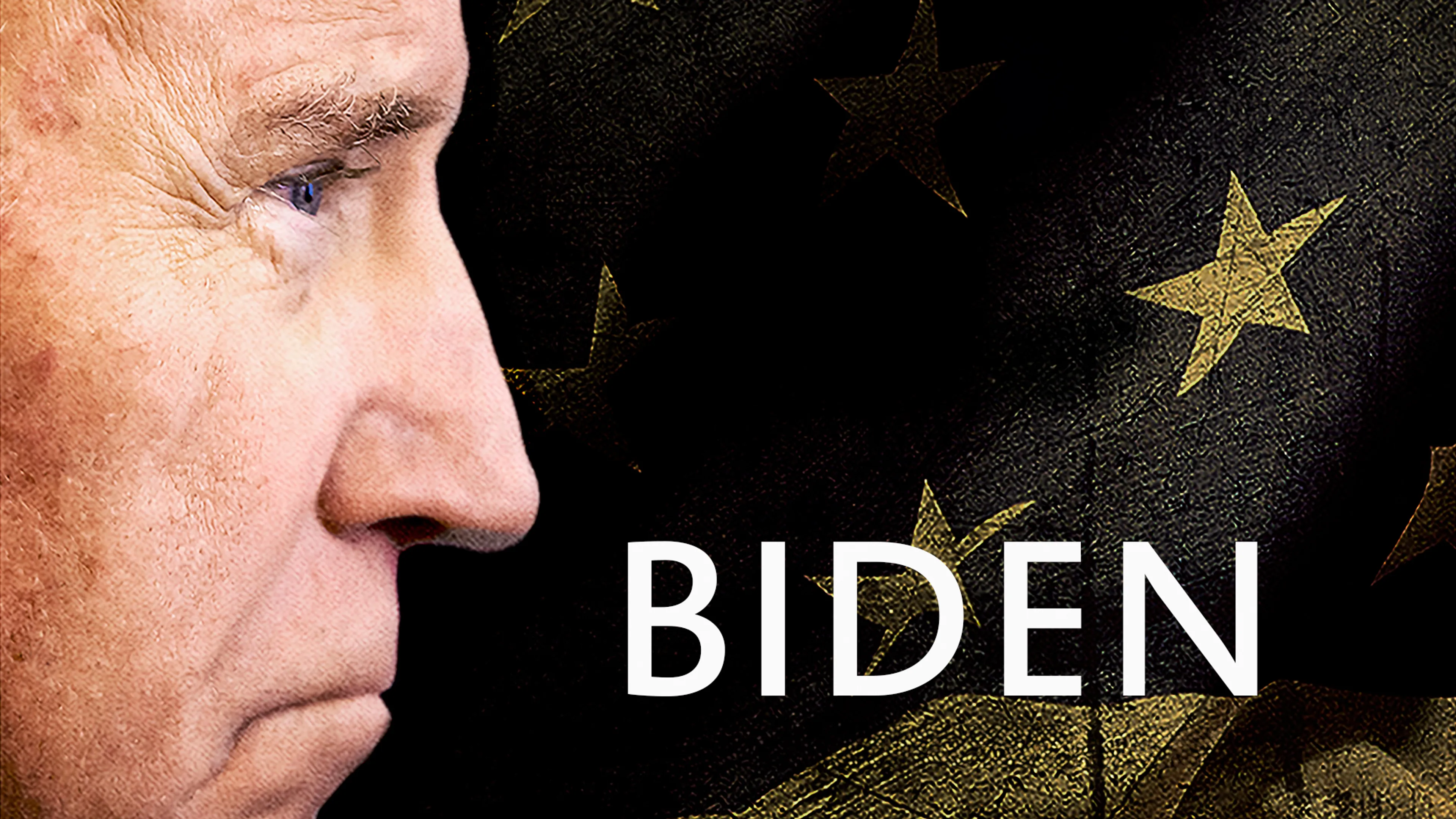 Biden poster